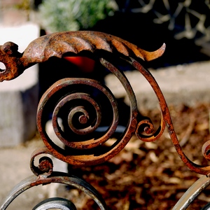 Dessus décoratif d'une grille en fer forgé en forme de félin - Belgique  - collection de photos clin d'oeil, catégorie clindoeil